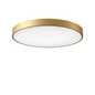 Mokdern round three-color LED ceiling lamp