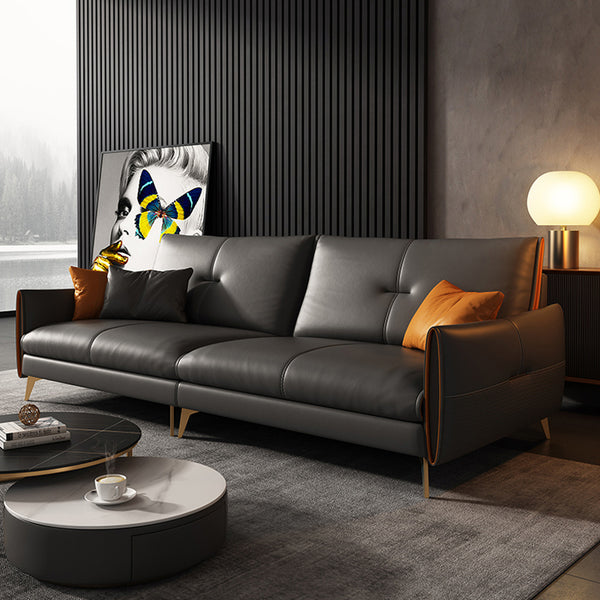 Mokdern Standard 4-Seat Living Room Leather sofa