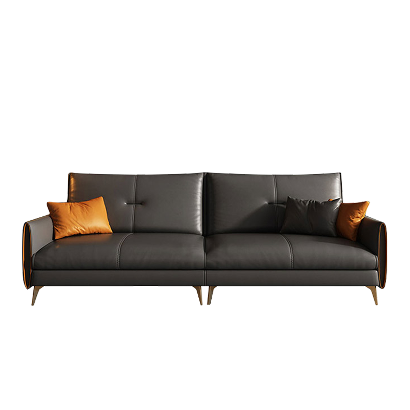 Mokdern Standard 4-Seat Living Room Leather sofa
