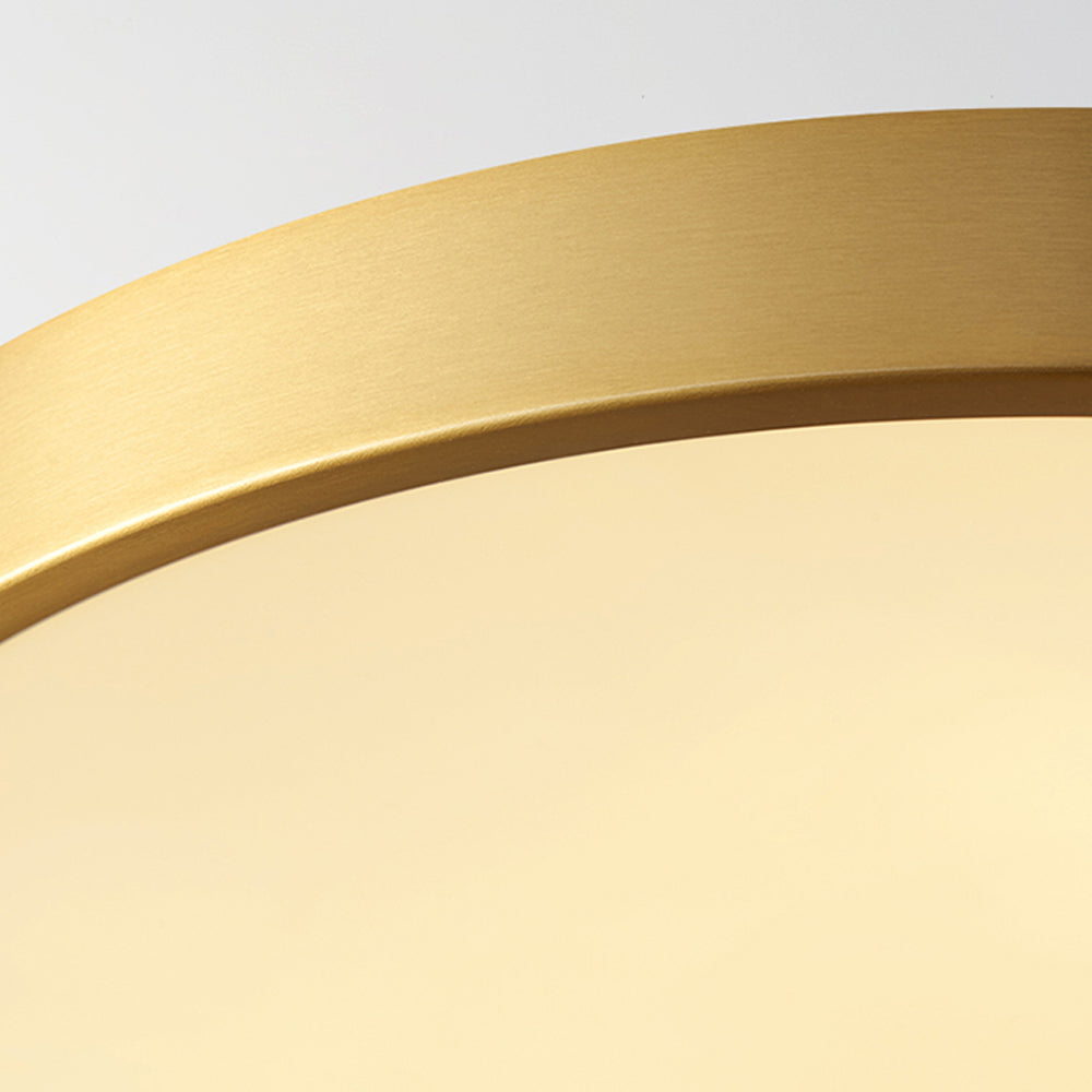 Mokdern round three-color LED ceiling lamp